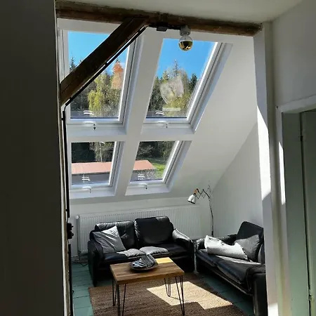 Gruene * バート・ブラムバッハ