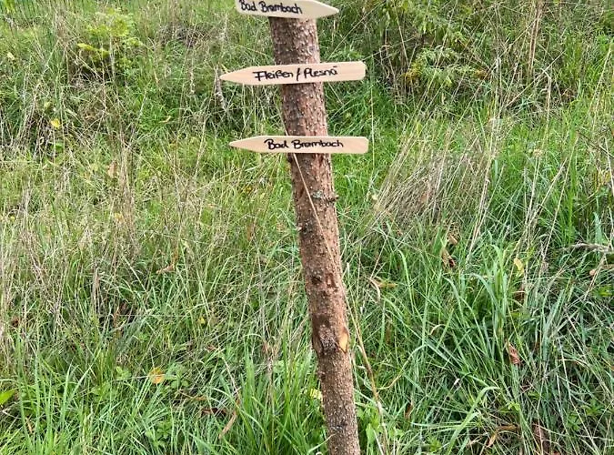 Grüne Apartment Bad Brambach