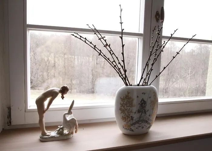 Grüne Apartment Bad Brambach